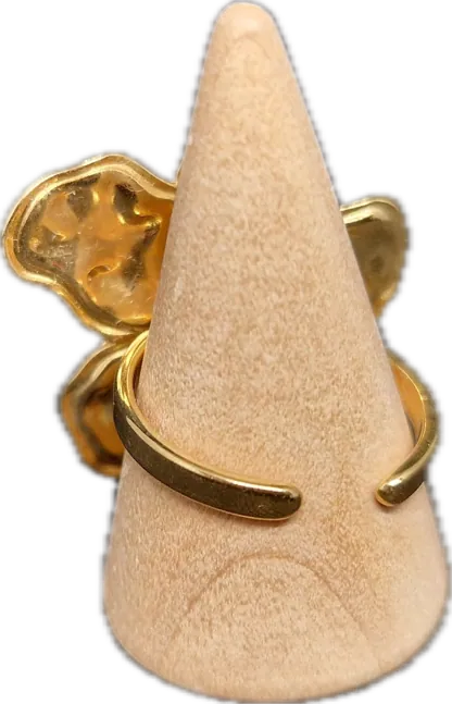 Bague 1, vue 2