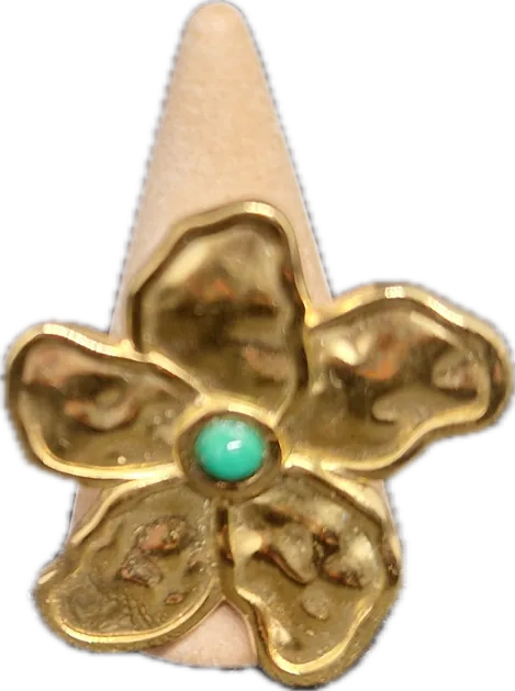 Bague 1