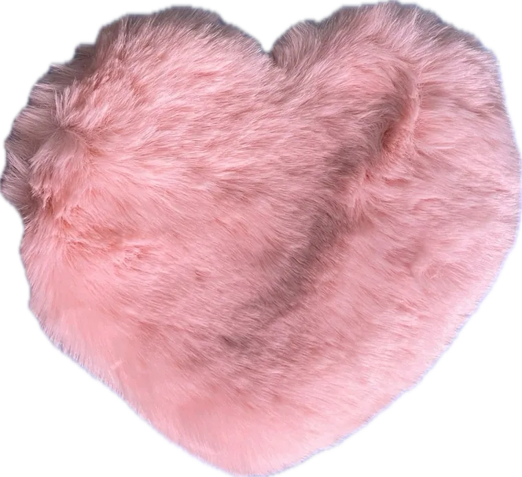Sac cœur